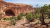 The large alcove along Alcove Spring Trail in Canyonlands, framed by red rock cliffs, rugged terrain, and desert vegetation.