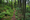 Trail & Time